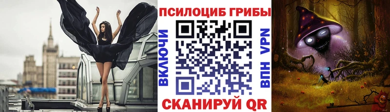 Галлюциногенные грибы Psilocybine cubensis  Городовиковск 
